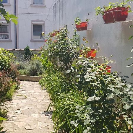 Garden Apartments Belgrade Extérieur photo