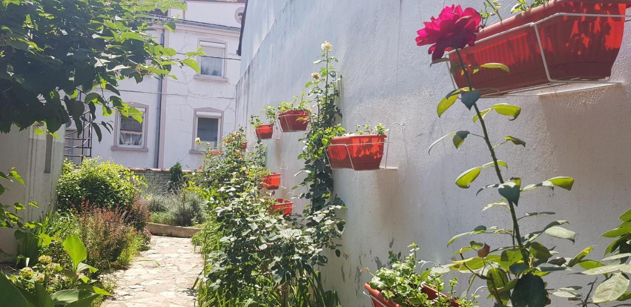 Garden Apartments Belgrade Extérieur photo